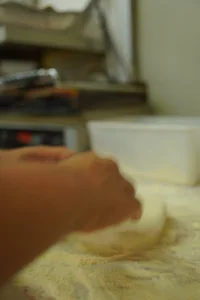 DSC02525