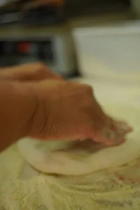 DSC02528